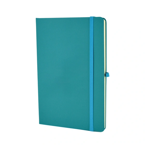  Qs0345  Tpc982001 A5 Mole Mate Duo Teal
